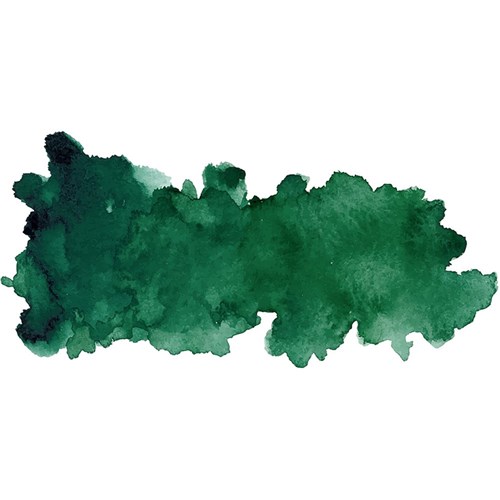 3-In-1 Shampoo - Greengarious